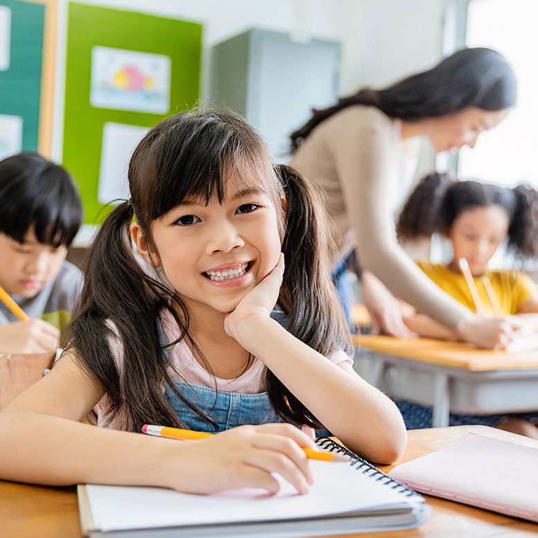 The-Grove-Thumbnail-4