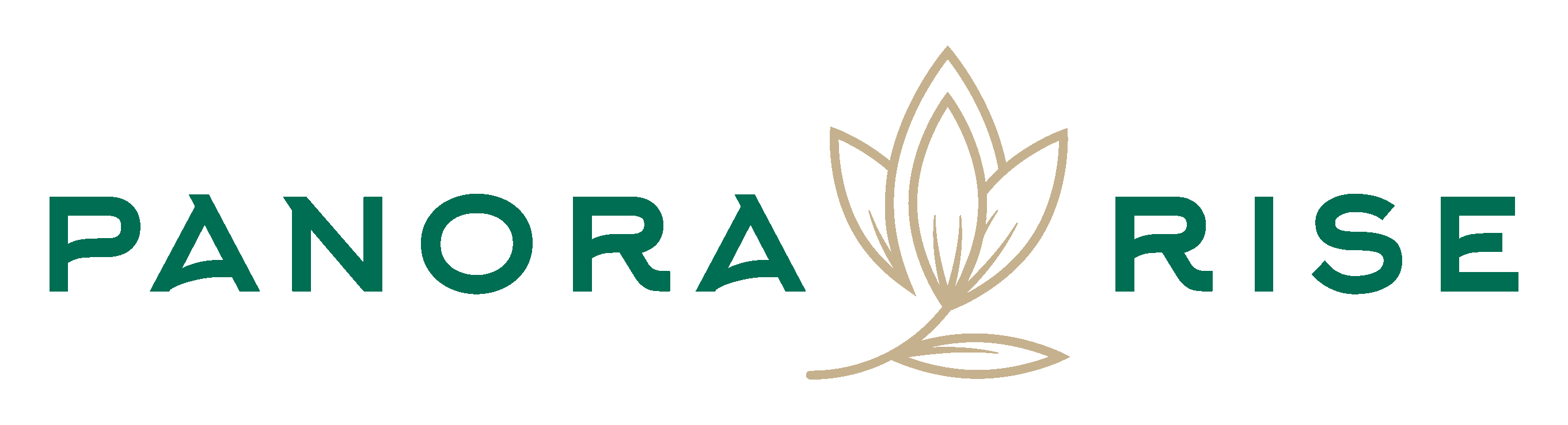Panora-Rise-Logo